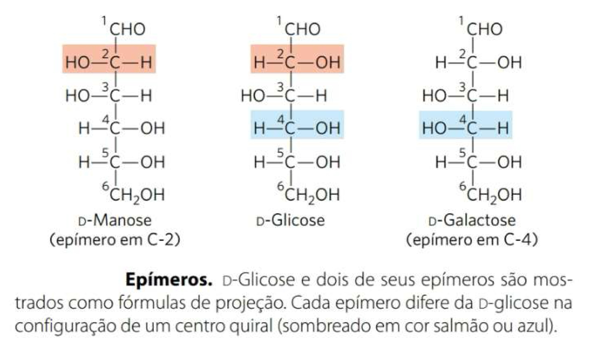 <p>Carboidratos que diferem na configuração de apenas 1 carbono, a glicose é epímera da manose (em C2) e da galactose (em C4)</p>