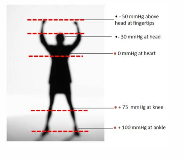 <p>100mmHg</p>