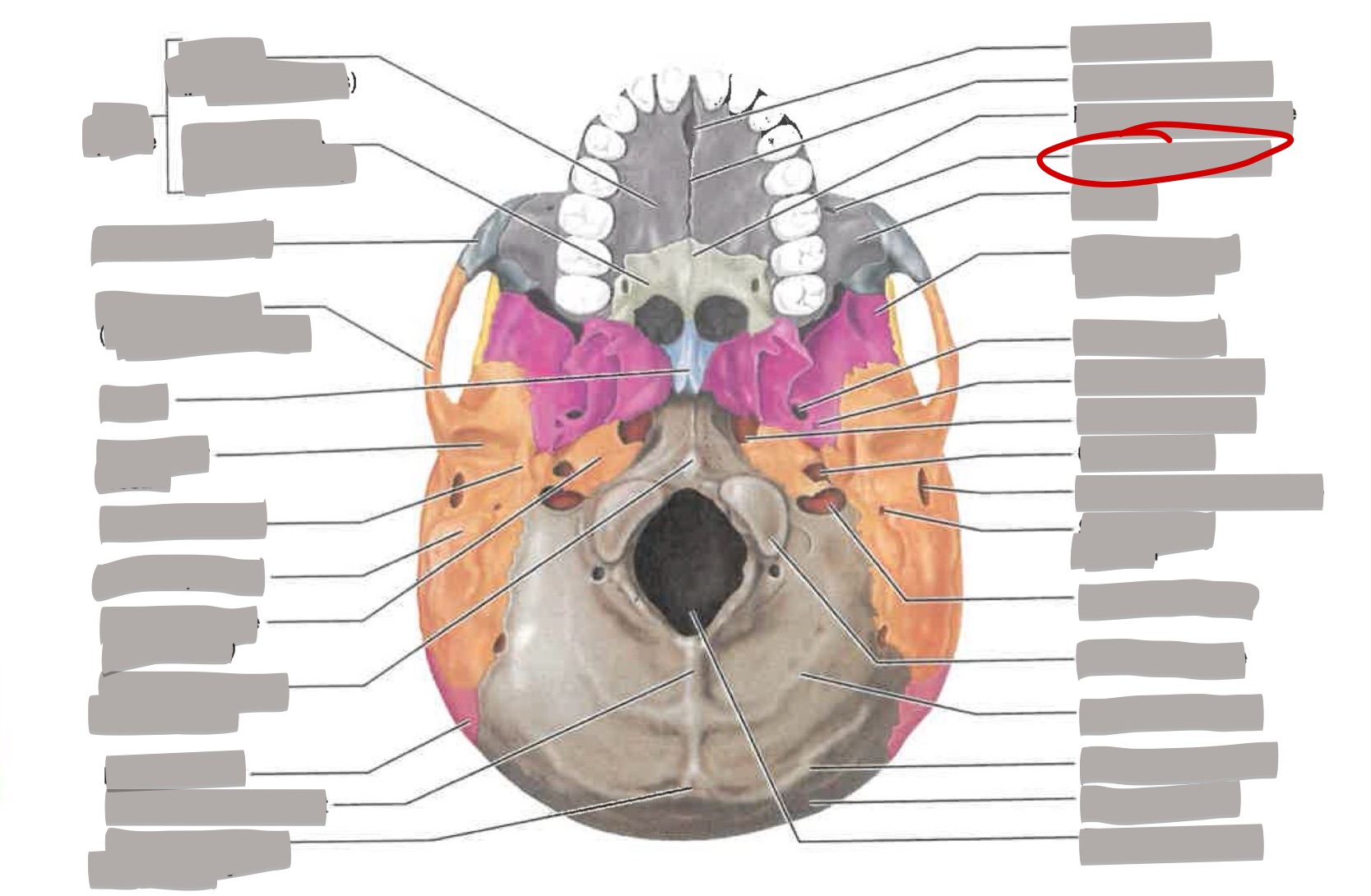 term image