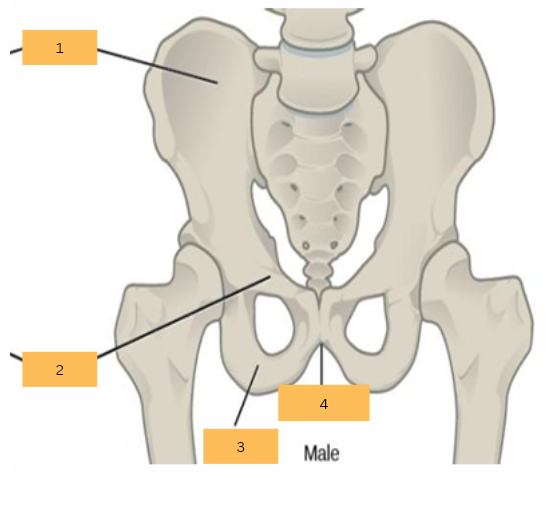 <p>What is 3?</p>