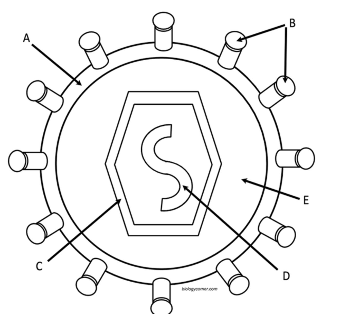 <p>What’s E?</p>