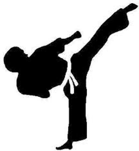 <p>wǔshù - martial arts</p>