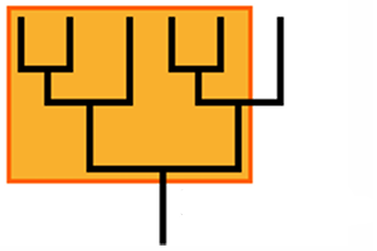 <p>determine whether a clade or not</p>