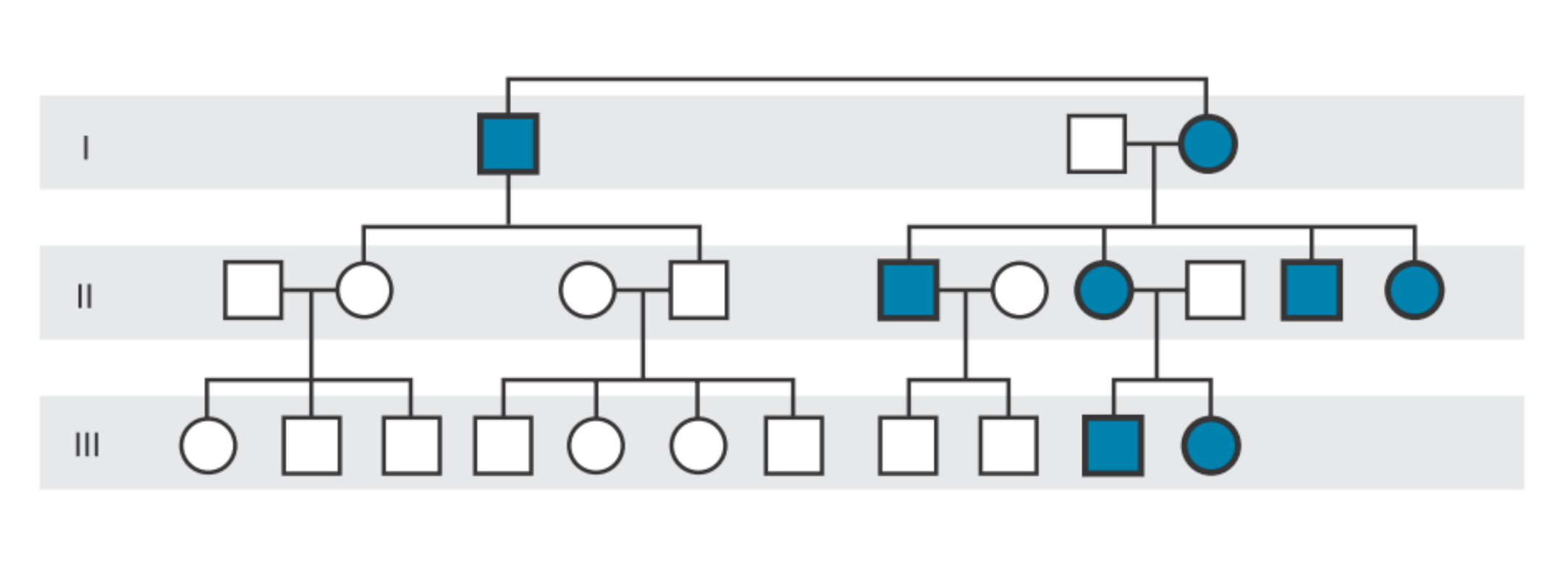 <p>Xác định kiểu di truyền trong cây phả hệ sau:</p>