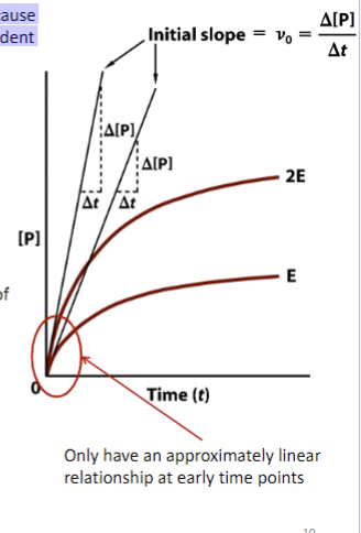 <p><span style="font-family: sans-serif">1) enzyme becomes unstable during rxn</span><br><span style="font-family: sans-serif">2) degree of saturation of enzyme by substrate decreases as substrate is depleted</span><br><span style="font-family: sans-serif">3) reverse rxn becomes predominant as product accumulates</span><br><span style="font-family: sans-serif">4) products of rxn inhibit enzyme</span><br><span style="font-family: sans-serif">5) any combo of factors above</span></p>