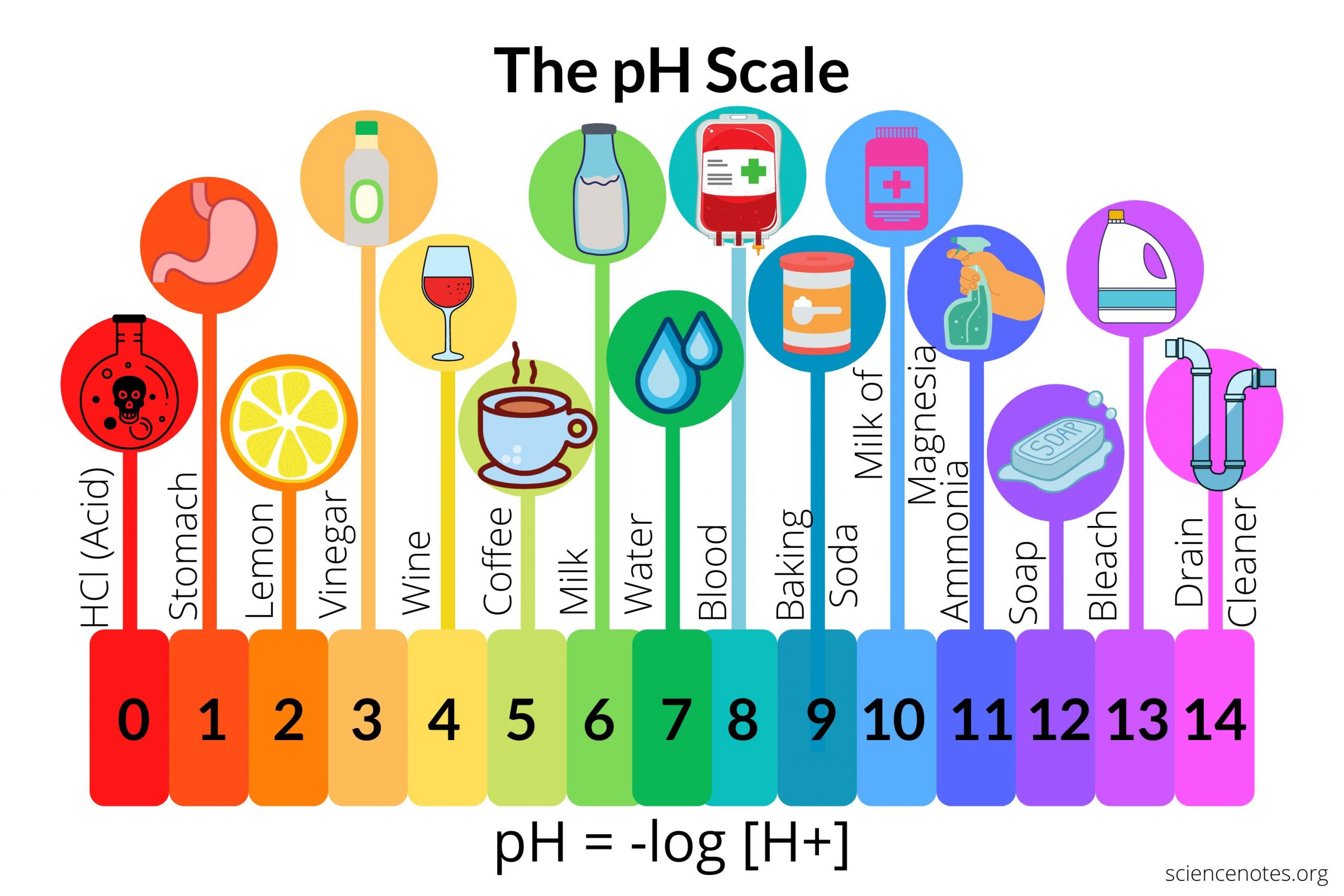 <p>acids form _____  alkalis form ______ only in ______ this is called ______</p>
