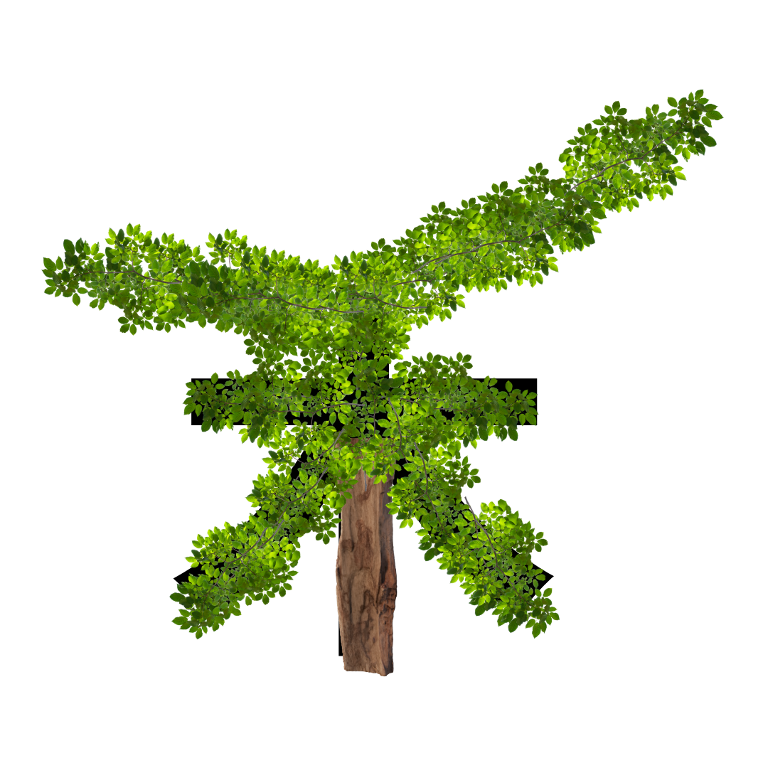 <p><strong>禾</strong></p>