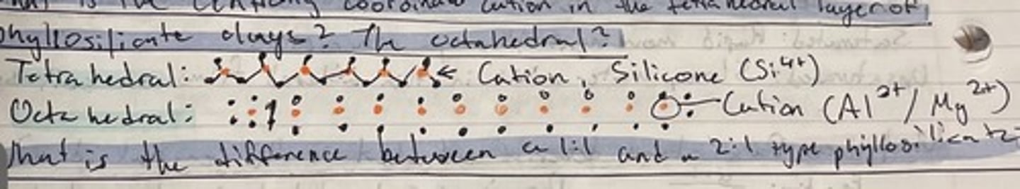 <p>Refer to the photo</p>