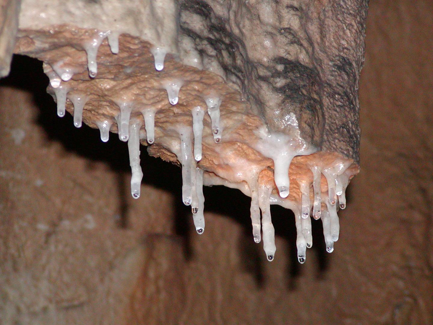 <p>sigove (sigine) tvorbe, ki nastanejo ob kaplanju vode v kraških jamah</p>