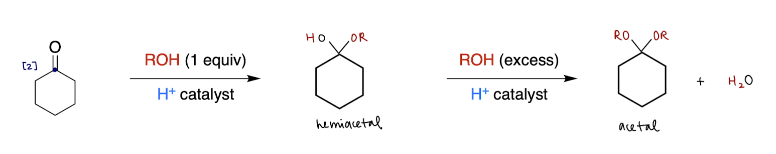 <ol><li><p>ROH (1 equiv), H+ catalyst</p></li><li><p>ROH (excess), H+ catalyst</p></li></ol>