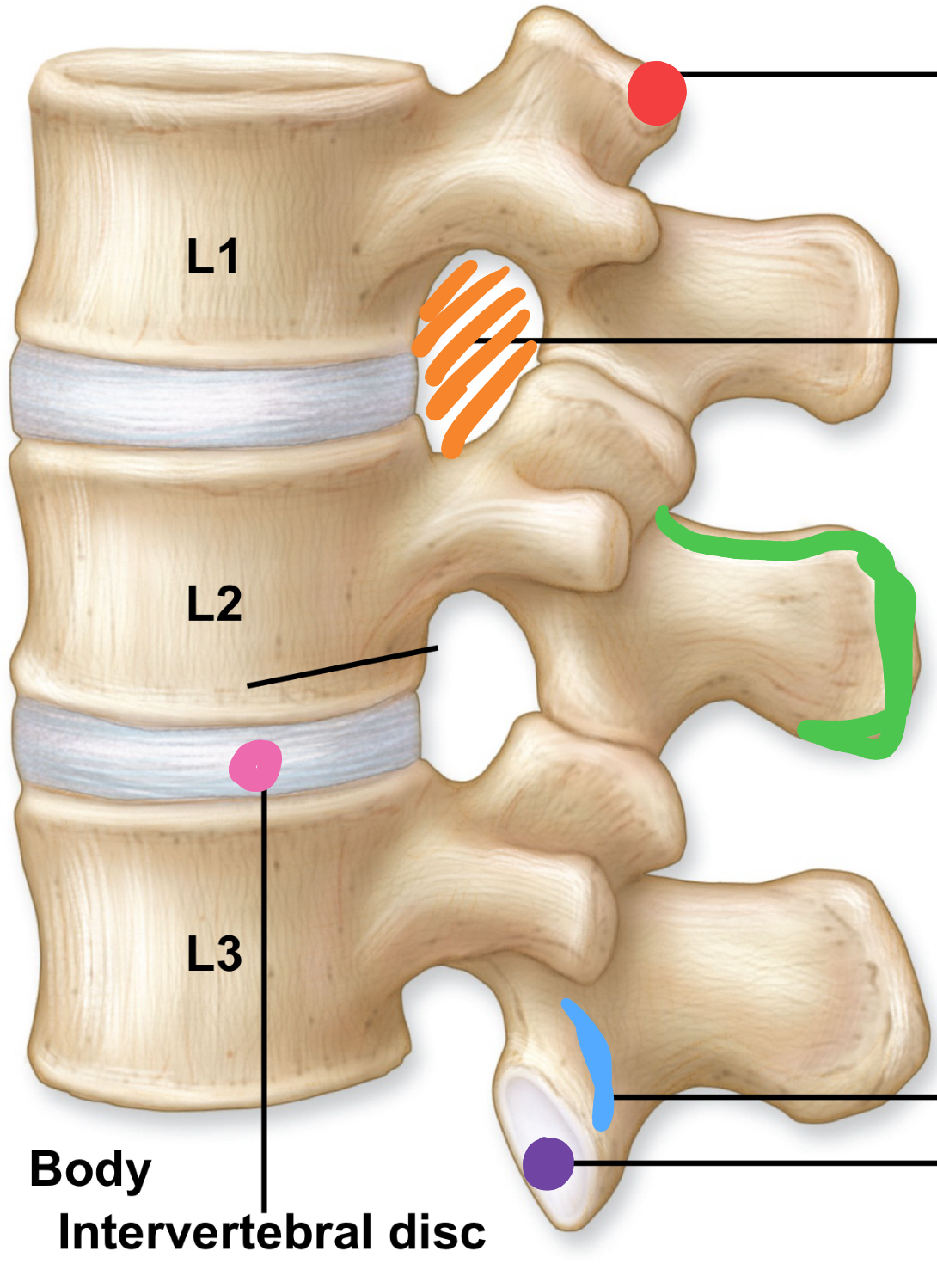 <p>What is the orange hole?</p>