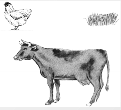 <ul><li><p>American children put the chicken and cow together (both are animals)</p></li><li><p>Chinese children put the cow and grass together (the cow eats grass) → the cow need the grass; its about the relationship</p></li></ul>