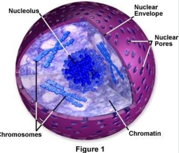 <p>What is this ENTIRE structure?</p>