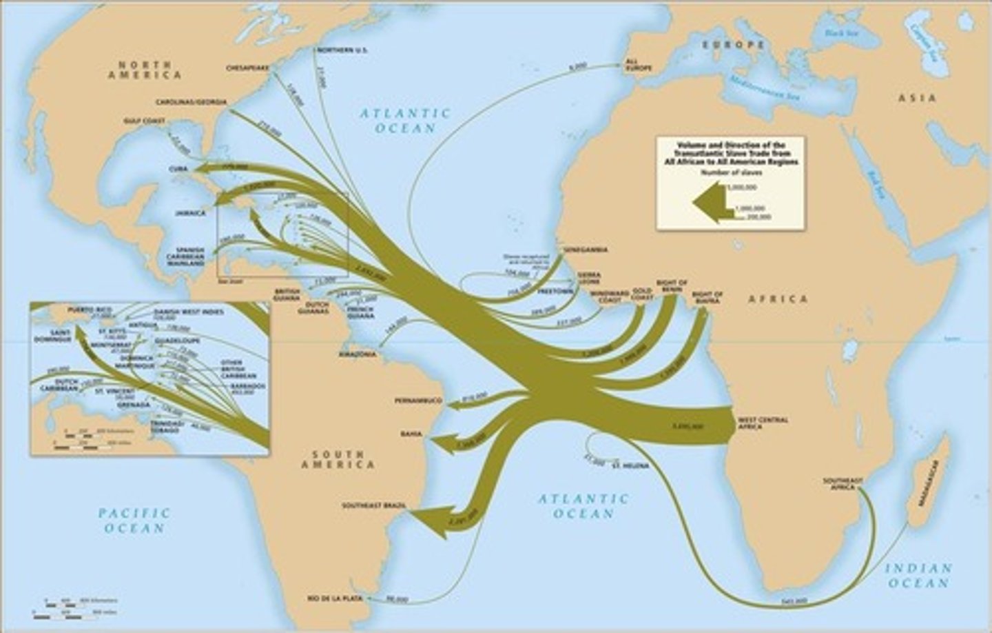 <p>Africans were enslaved and brought to the Americas, significantly impacting their populations and cultures.</p>