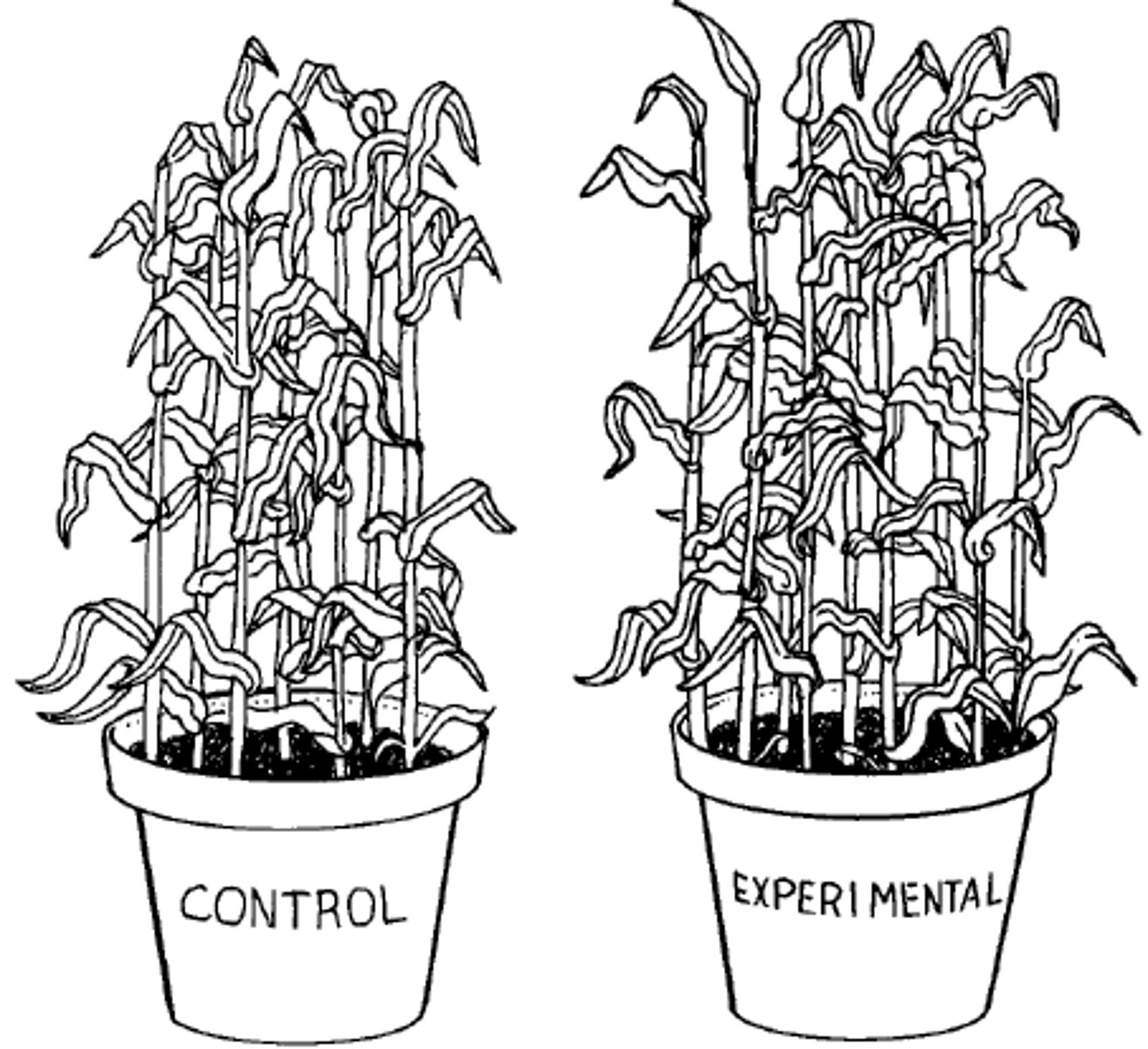 <p>factor that remains fixed during an experiment while the independent and dependent variables change. it keeps the experiment fair</p>