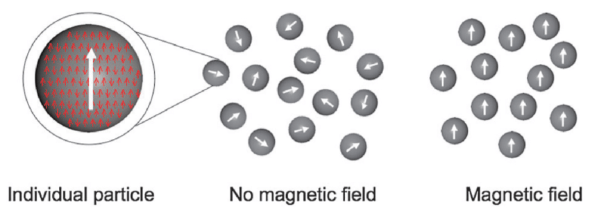 <p><span style="color: green;">Advantages </span>of Superparamagnetic Particles (x4)</p>