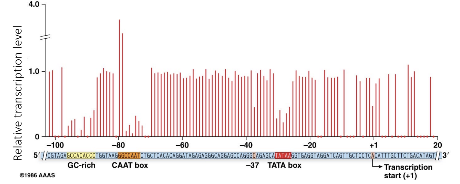 <p>Explain this graph? Why is it important? What does it show?</p>