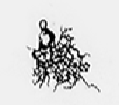 <p>Name</p>