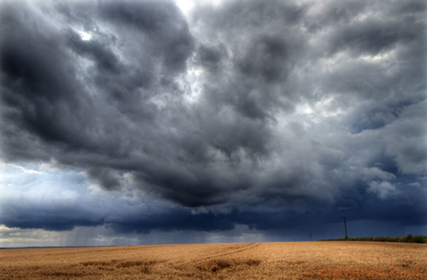 <p>thunderstorms</p>