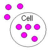 <p><span style="background-color: transparent;">A solution whose solute concentration is <strong>lower</strong> than the solute concentration inside a cell</span></p><p></p>