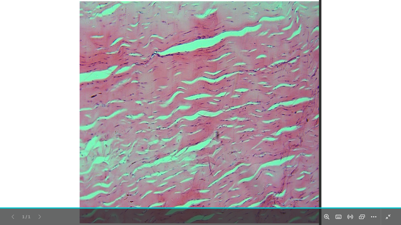 <p>identify </p><p>mention one site </p>