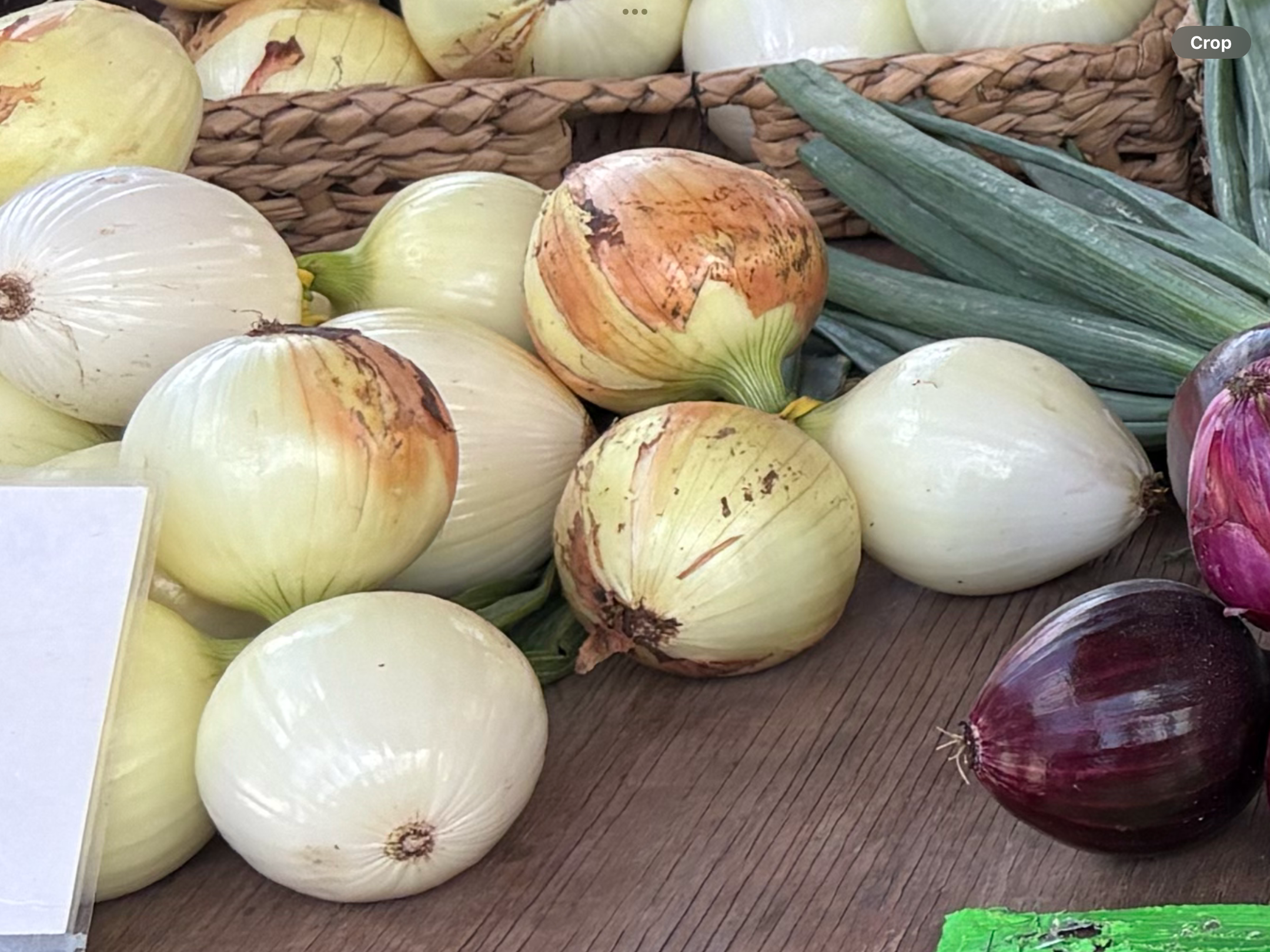 <p>Single onion</p>