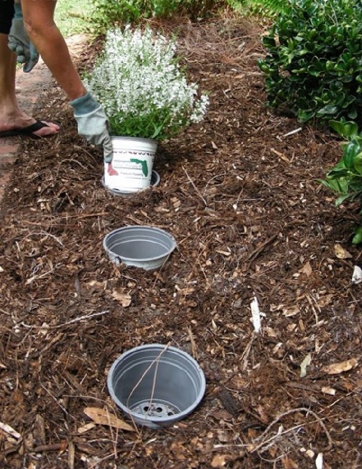 <p>&nbsp;System where plants are grown in containers placed inside larger pots, often used in nurseries.</p>