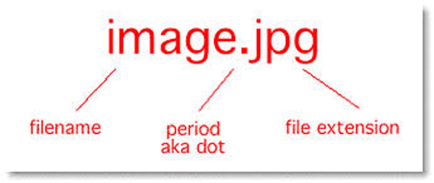 <p>A tag of three or four letters, preceded by a period, which identifies a data file's format or the application used to create the file.</p>