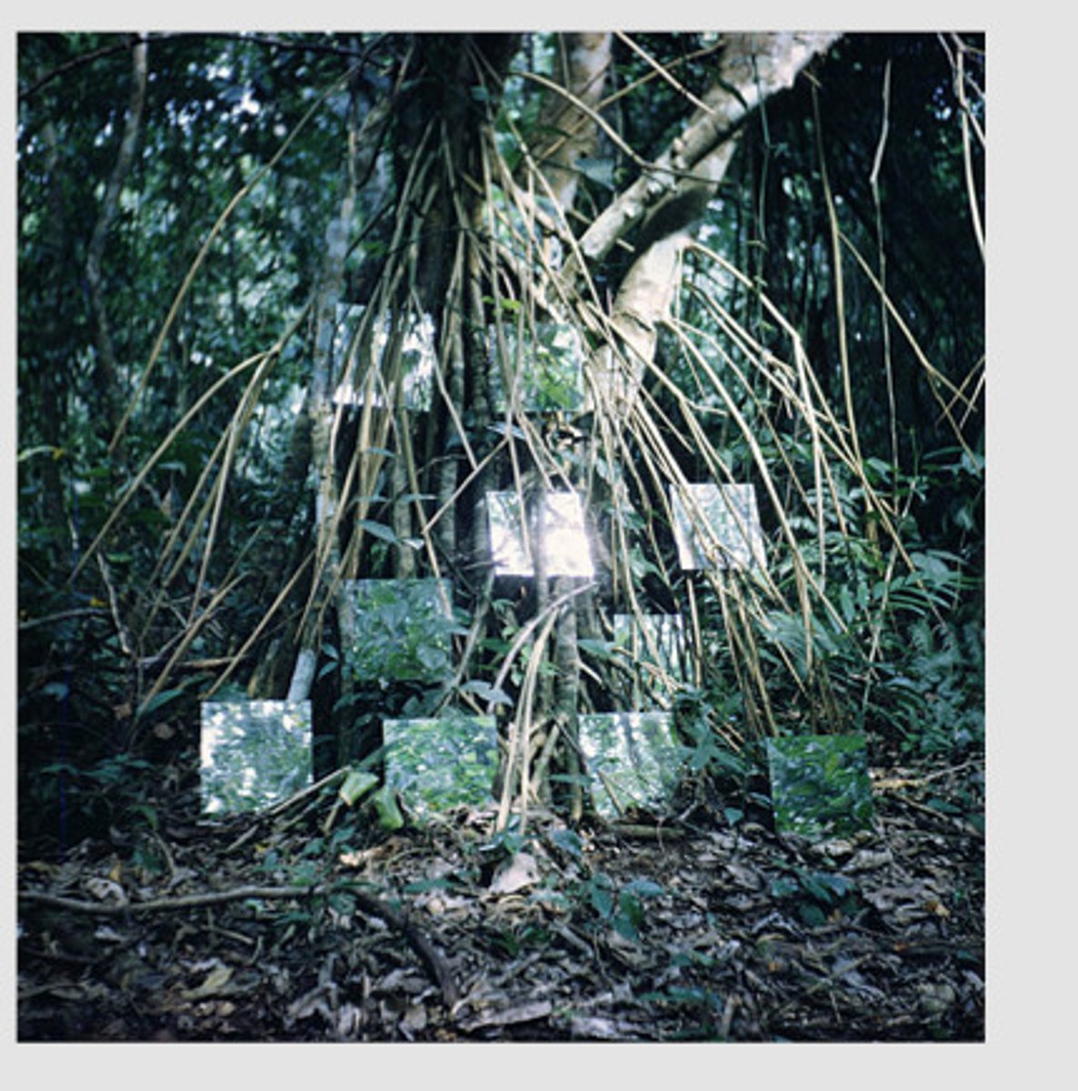 <p>land art</p>