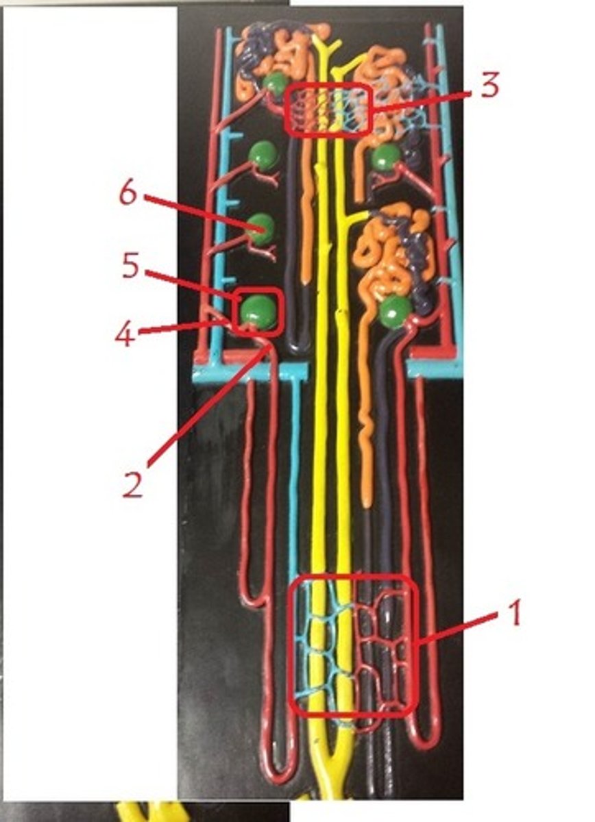 <p>1</p>