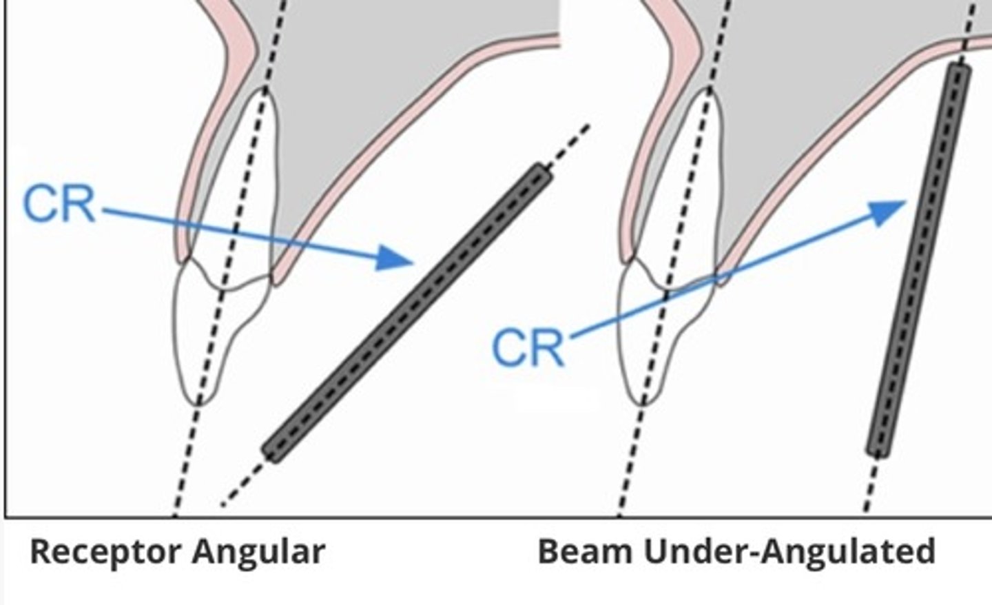 <p>-longer</p><p>-tube &amp; IR</p>