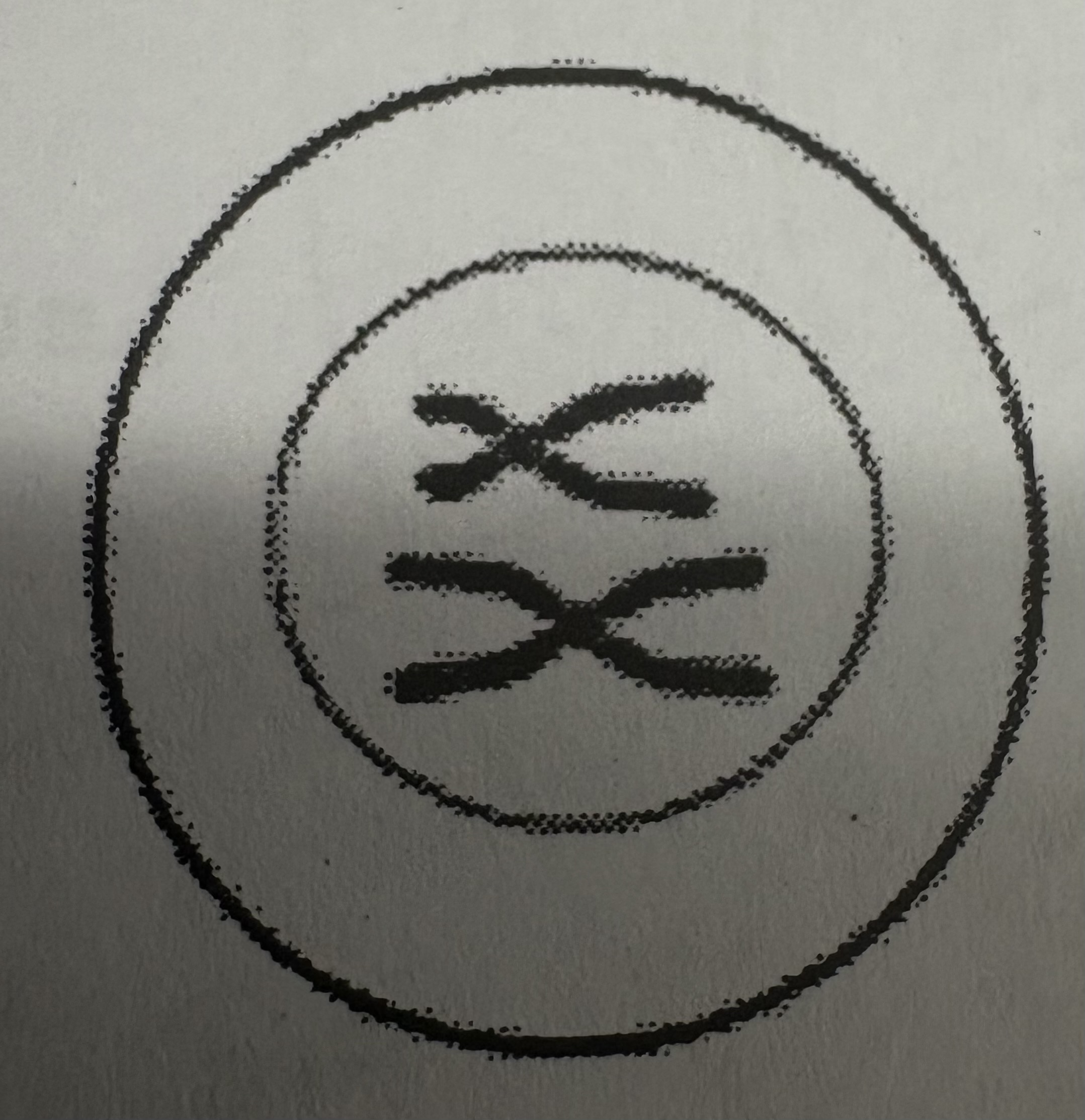 <p>What phase of meiosis is this?</p>