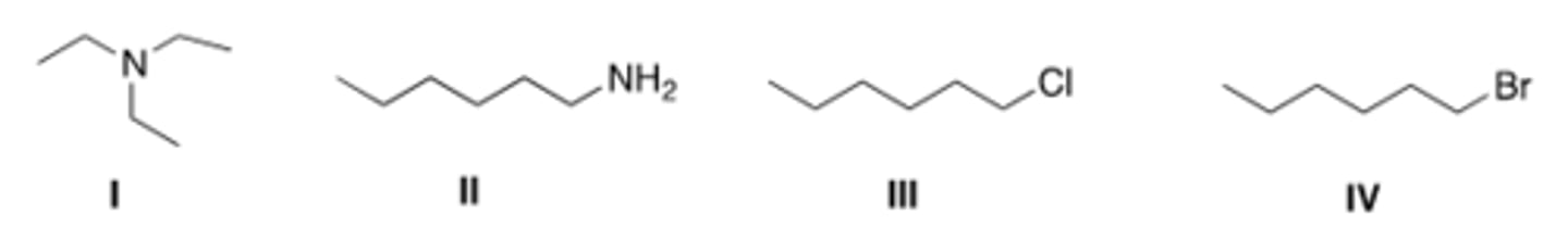 <p>B</p>
