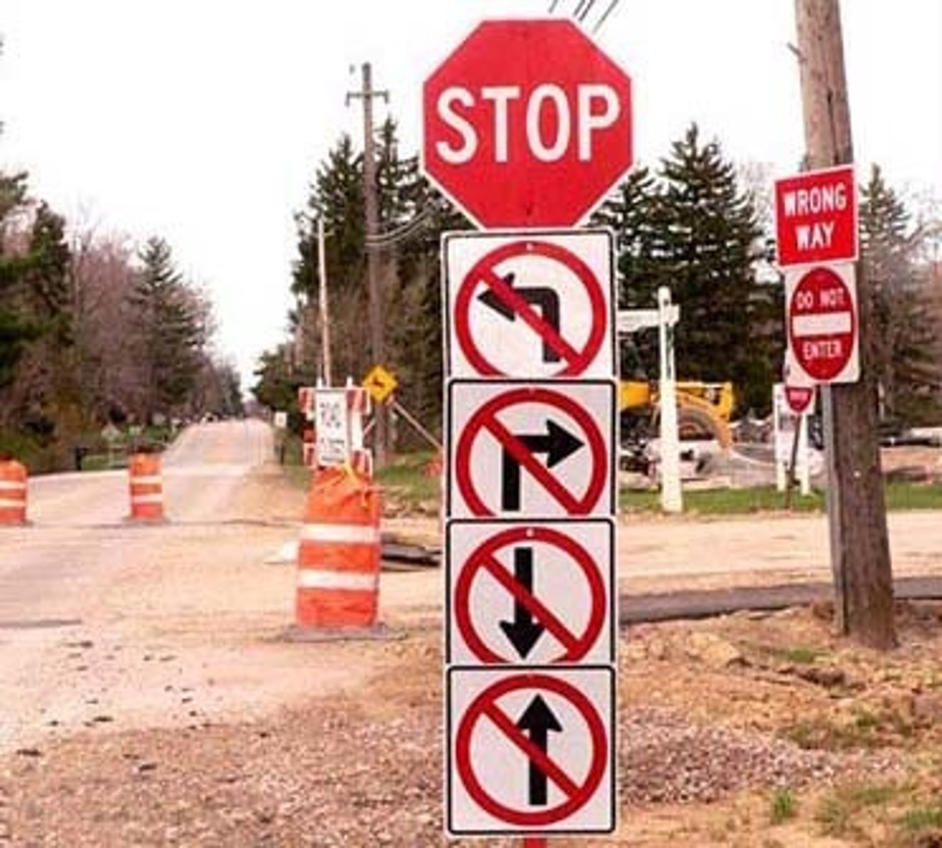 <p>obvious</p>