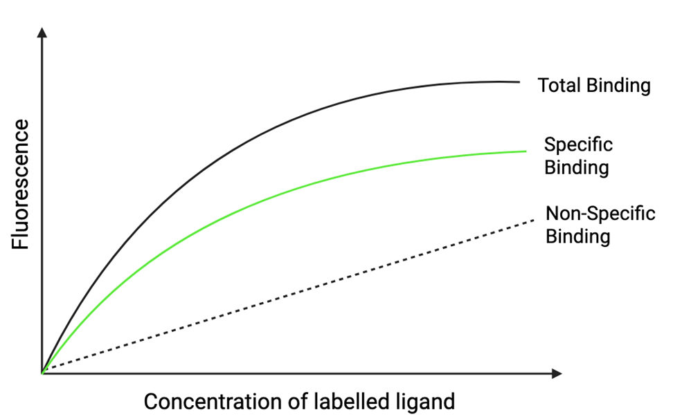 <p>Dissociation Constant (Kd)</p><p></p>