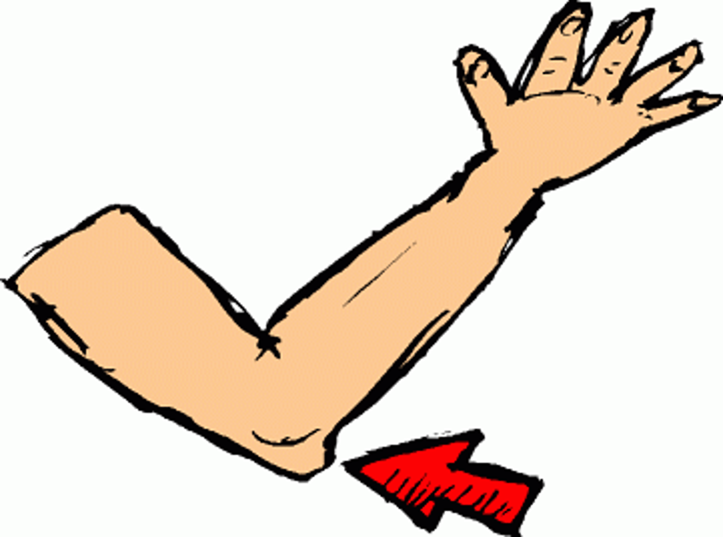 <p>elbow</p>