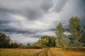 <p>пасмурно</p>