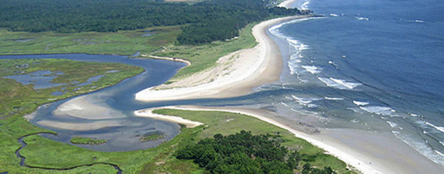 <p>A habitat in which the fresh water of a river meets the salt water of the ocean. Cửa sông</p>