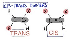 carbons have covalent bonds to the same atoms, but these atoms differ in their spatial arrangements due to the inflexibility of double bonds