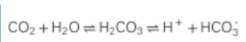 <ul><li><p class="">The respiratory system provides a fairly quick response (minutes) to pH changes</p><ul><li><p class="">Cellular metabolism releases CO2, which enters red blood cells (RBCs)</p><ul><li><p class="">will take CO2 to RBC =&gt; transport to lungs to be breathe out</p></li></ul></li><li><p class="">In RBCs, CO2 combines with water to form carbonic acid (H2CO3)</p><ul><li><p class="">Carbonic acid dissociates into H+ (hydrogen ions) and HCO3- (bicarbonate) (if bicarbonate needs to be removed, gets sent to kidneys if environment is alkalotic)</p></li><li><p class="">The H+ is buffered by hemoglobin, while bicarbonate diffuses into the plasma, helping to maintain pH balance</p></li></ul></li><li><p class="">CO2 directly relates to carbonic acid and afterward, H</p></li></ul></li></ul><p></p>