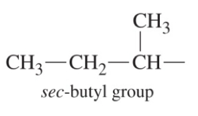 <p>sec-butyl group - four carbons</p>
