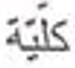 <p>What’s the definition, the plural, and the plural type?</p>