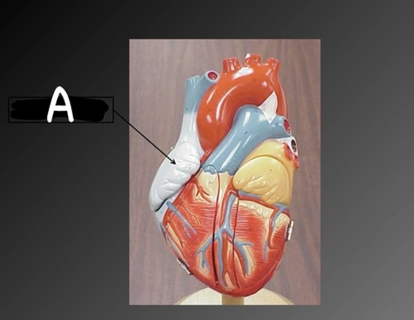 <p>What is A?</p>