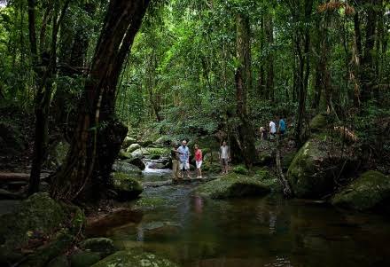 <p><span style="color: green"><strong>rainforest <em>(n)</em></strong></span></p>