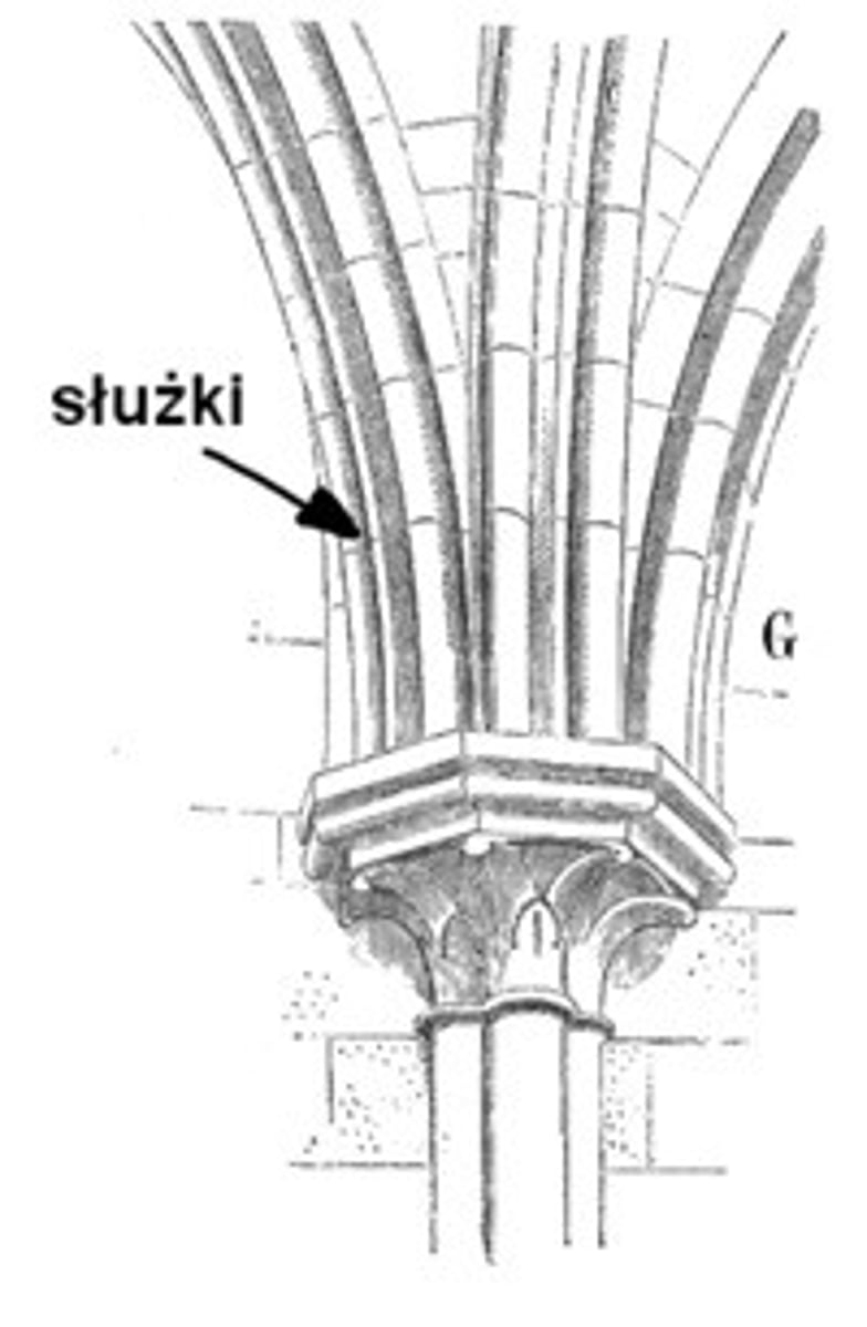 <p>w architekturze gotyckiej: cienka kolumienka zespolona z filarem wolno stojącym lub przyściennym, podtrzymująca sklepienie</p>