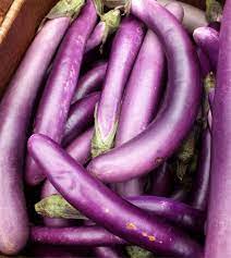 <p>chinese eggplant</p>