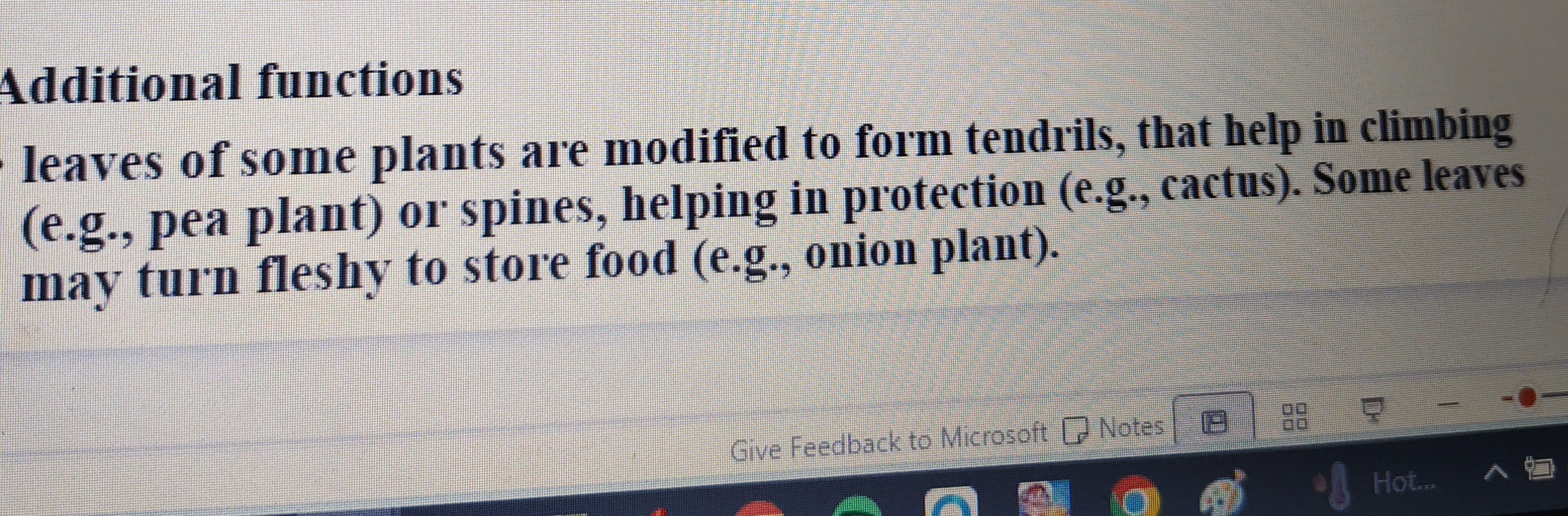 <p>They are mostly found above the ground attached to the stem</p><ol><li><p class="has-focus">The petiole </p></li><li><p class="has-focus">The leaf blade or lamina</p></li><li><p class="has-focus">The leaf base</p></li></ol><p></p>