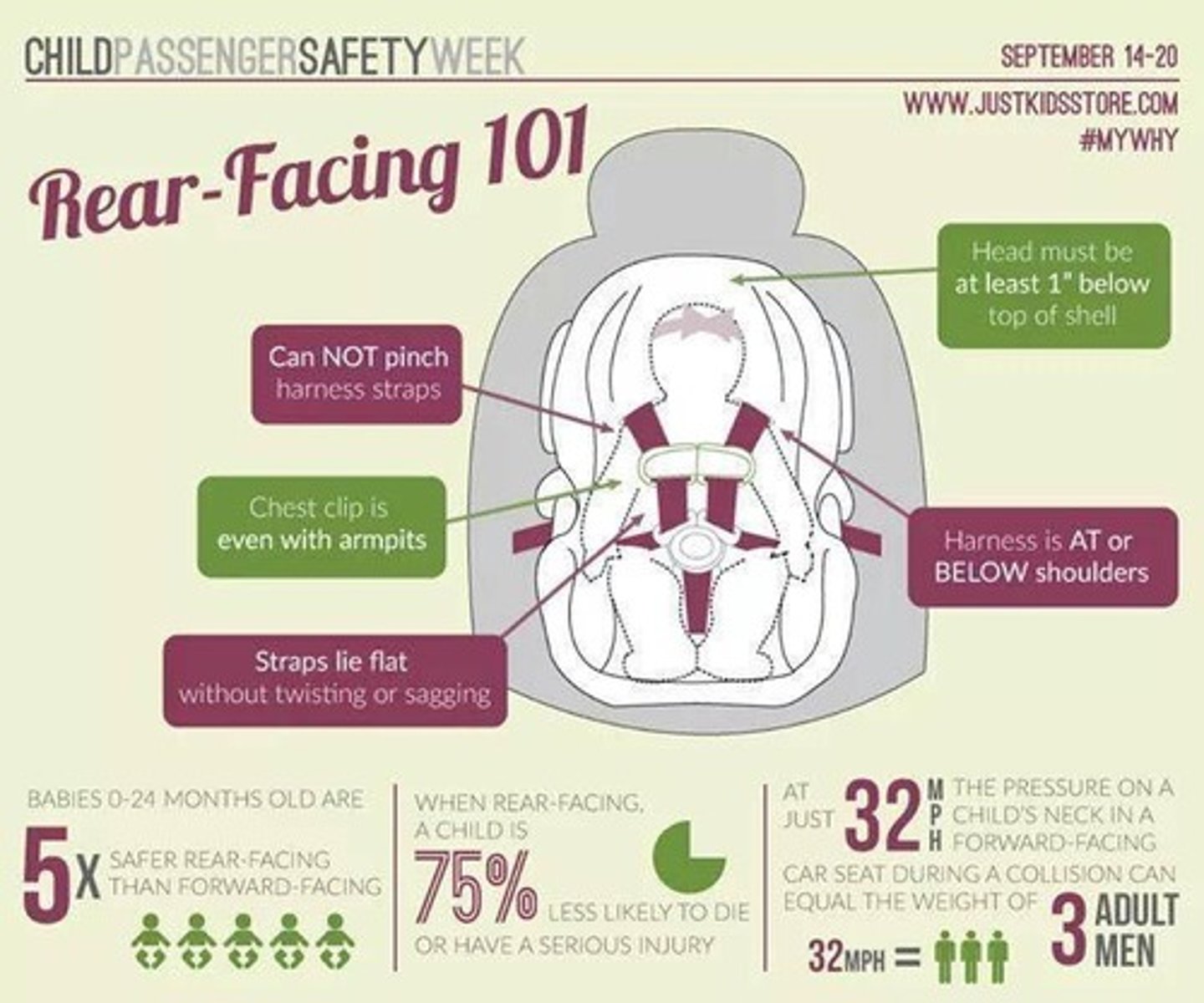 <p>Infants should be placed in rear-facing car seats in the back seat.</p>