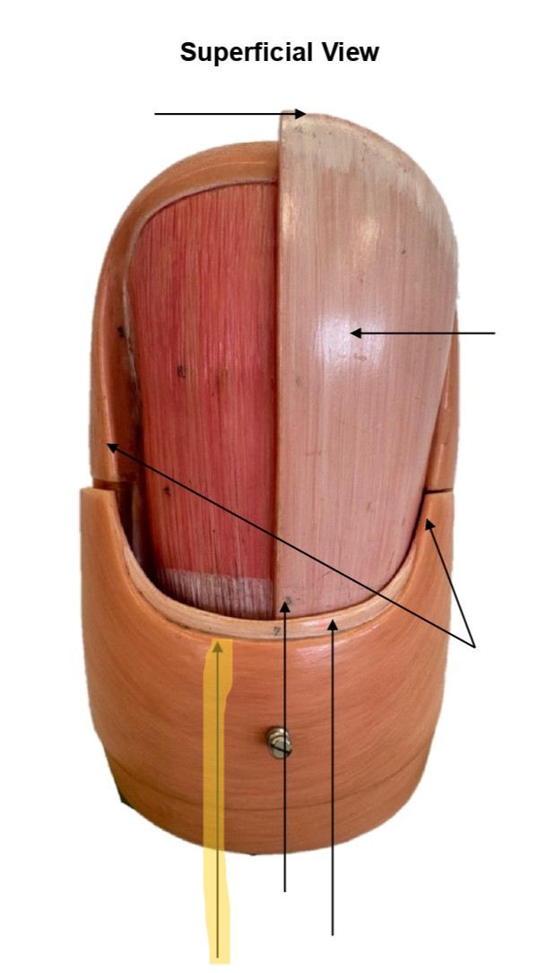 term image