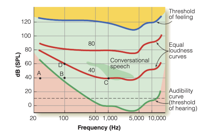 <p>What are the ‘equal loudness curves’? </p>